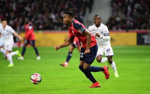 上限将被大 上限将被大